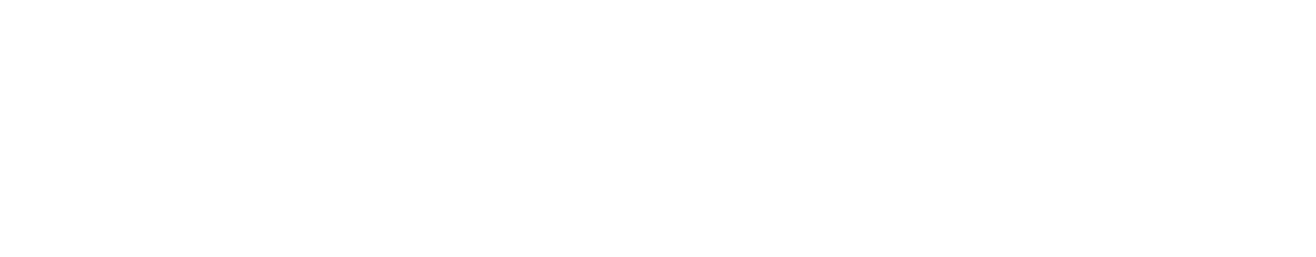 SAS Gold Partner
